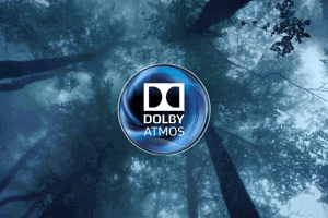 Sibel Filminin Başrolü ve Yönetmenleri Spectrum'da